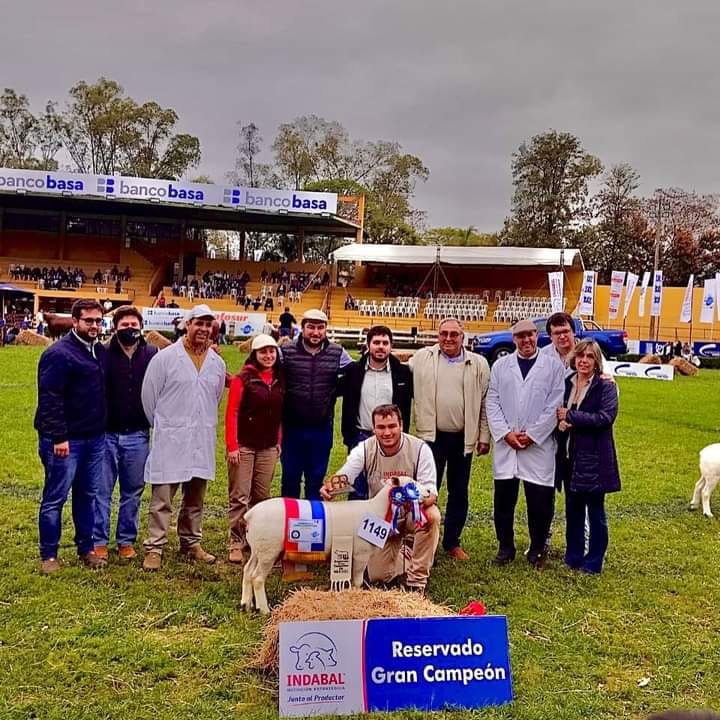 Reservada Gran Campeona PI en Paraguay